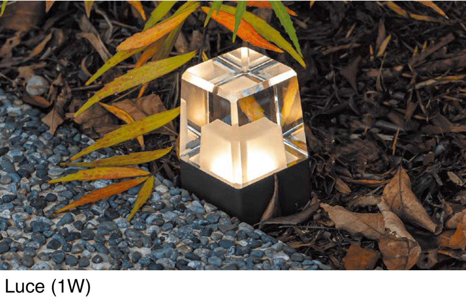 オンリーワンクラブの「プリモ ルーチェ」