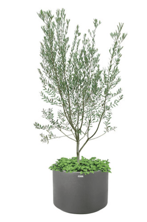 マチダコーポレーションの「サイクルプランター」のサブ画像2