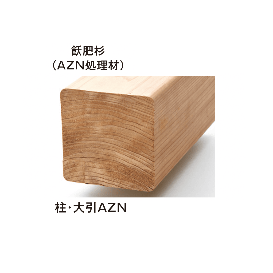 メイクランドの「飫肥杉(おびすぎ)」のサブ画像5