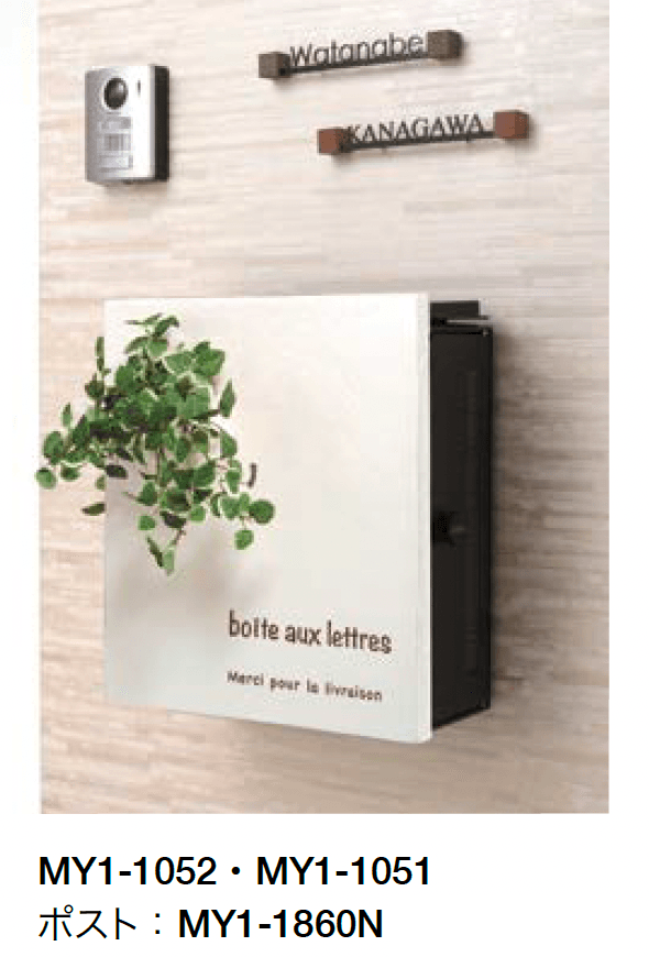 オンリーワンクラブの「フィン」のサブ画像2