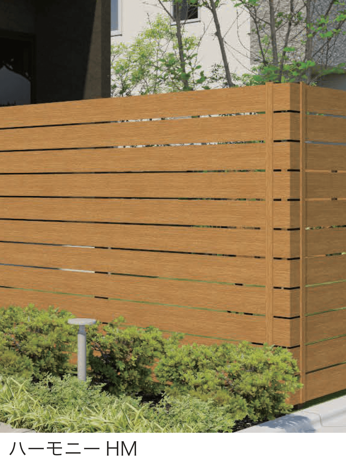 F&Fの「マイディウッド プレミアム」のサブ画像3