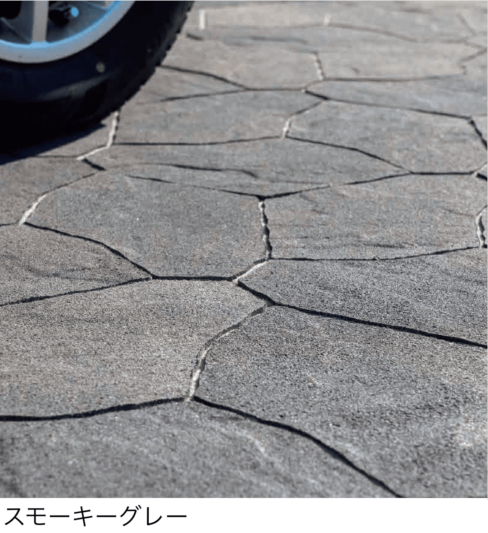 エスビックの「ランカ【2026年5月21日発売予定】」のサブ画像1