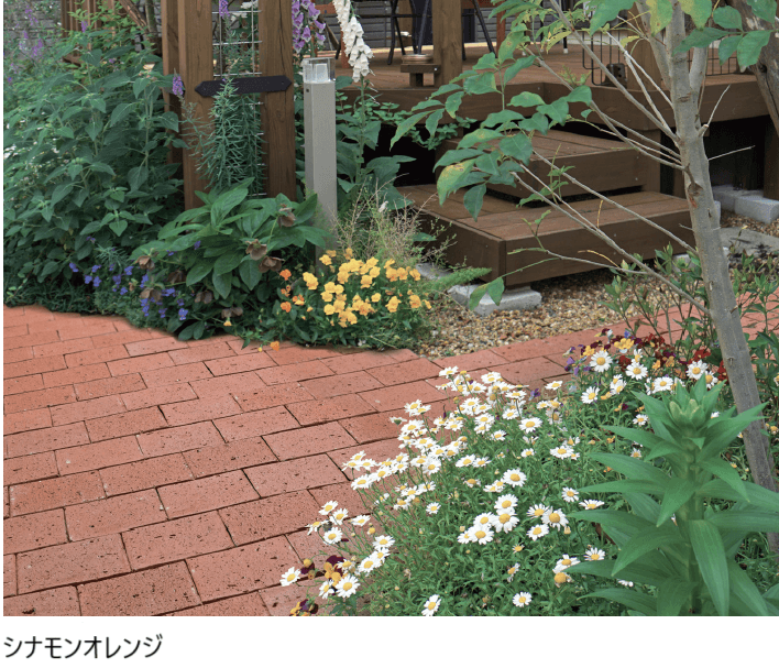 マチダコーポレーションの「ビクトリアペイブ」