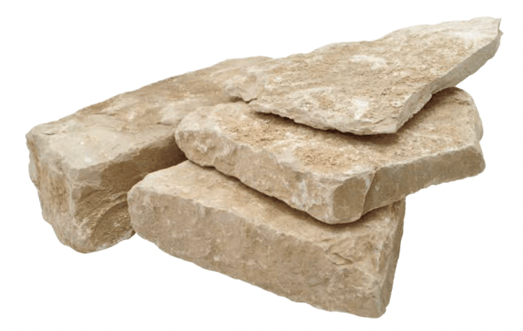 オンリーワンクラブの「ブルゴーニュ」のサブ画像4