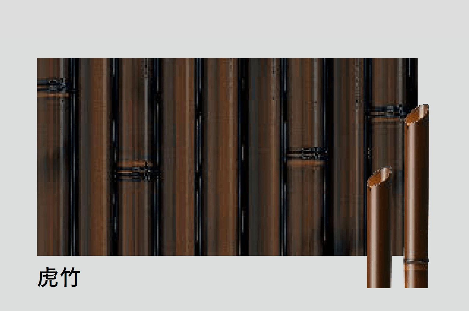 タカショーの「バンブースポットライト」のサブ画像5