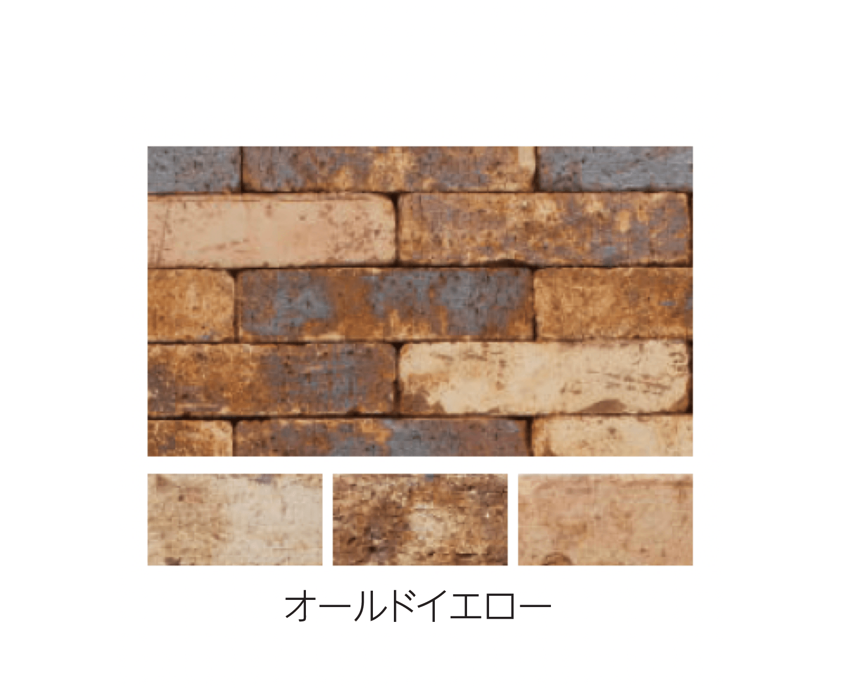 エスビックの「ベルク・ボーダー」のサブ画像4