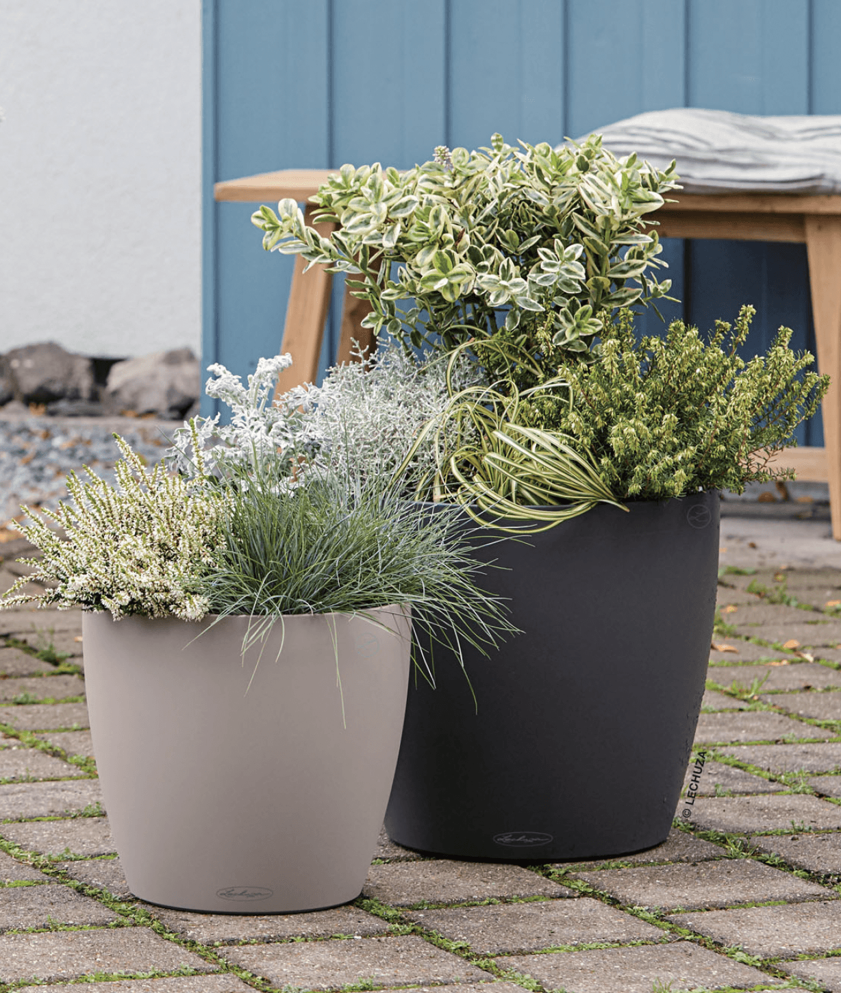 ギャザーの「ラウンド/コラム」