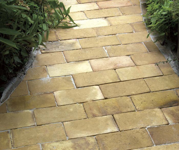 オンリーワンクラブの「ミモザ」のサブ画像1