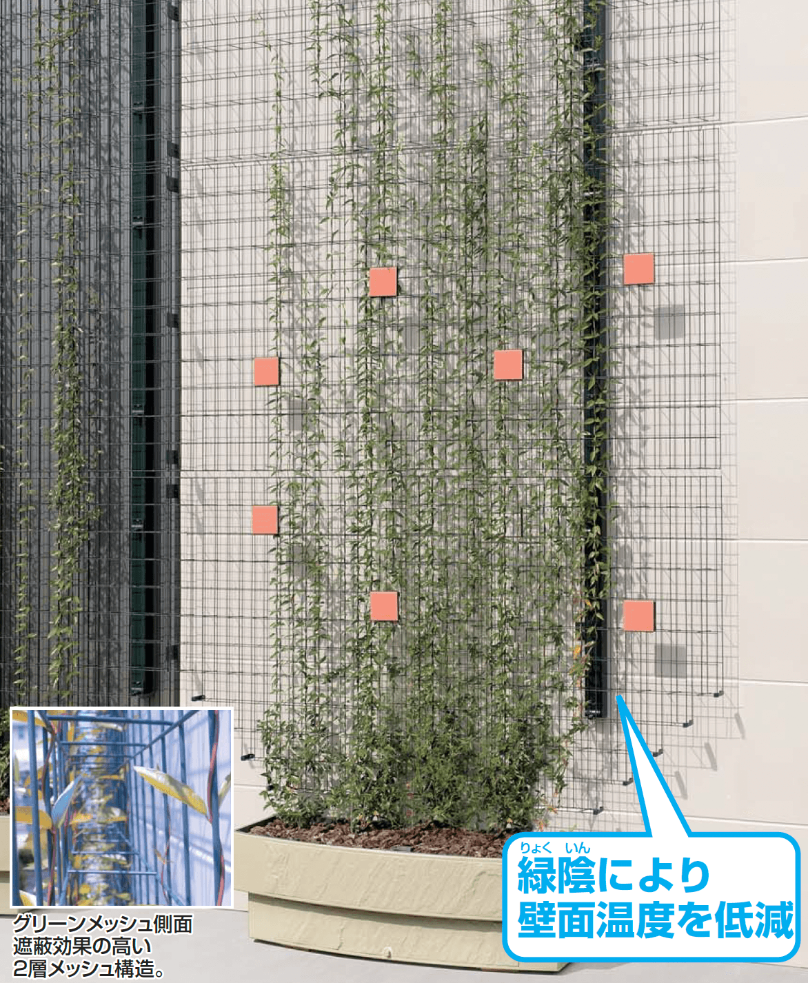 四国化成の「グリーンシェード ®︎ 壁面タイプ【2024年版】」