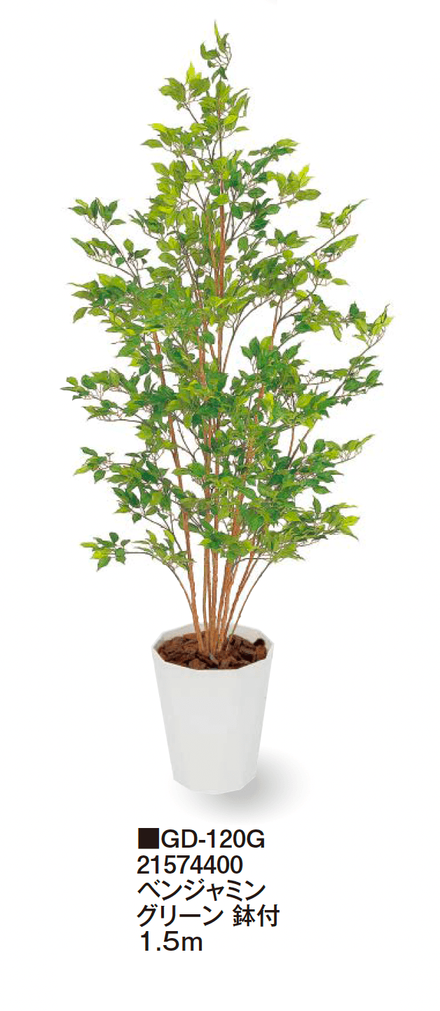 タカショーの「観葉植物【2024年版】」のサブ画像29