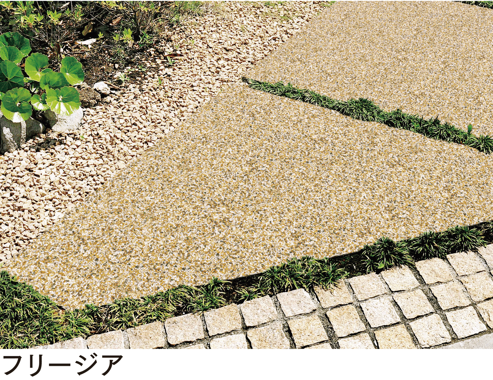 マチダコーポレーションの「ファンシアプラス」