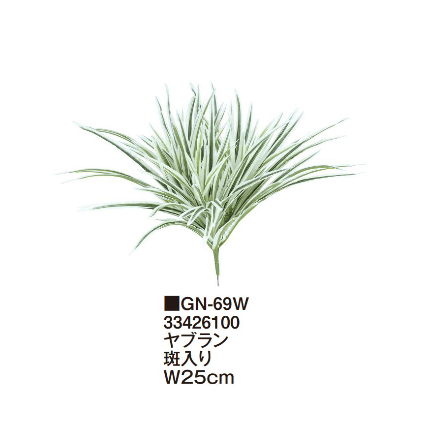 タカショーの「グランドカバー 下草【2025年版】」のサブ画像12