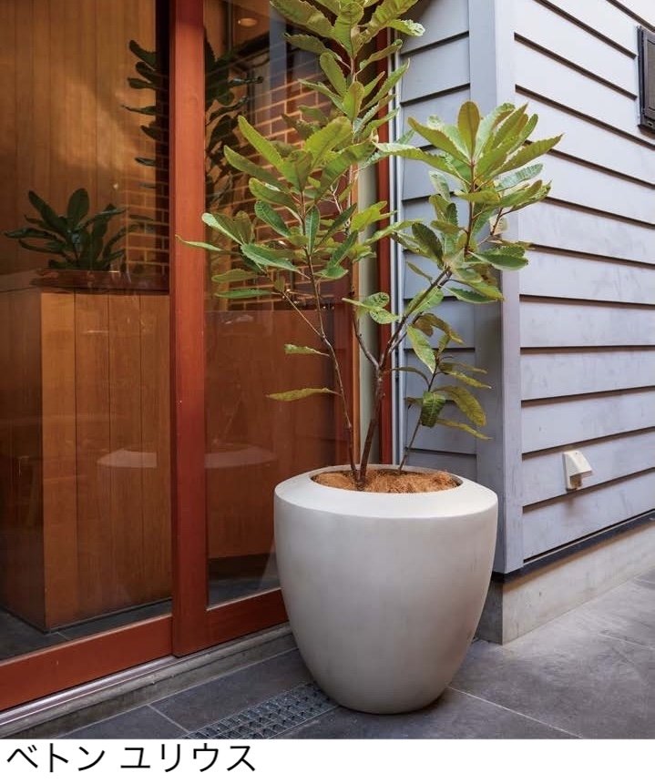 オンリーワンクラブの「ベトン」