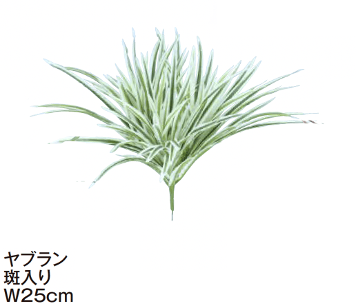 タカショーの「グランドカバー 下草【2024年版】」のサブ画像12