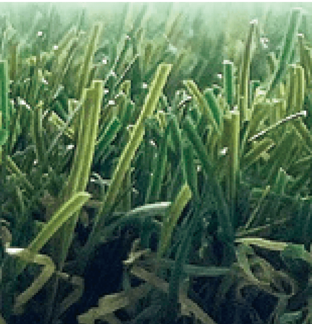 ギャザーの「人工芝 クローバーターフ 強耐熱タイプ(THE NYLON)【2025年版】」のサブ画像1