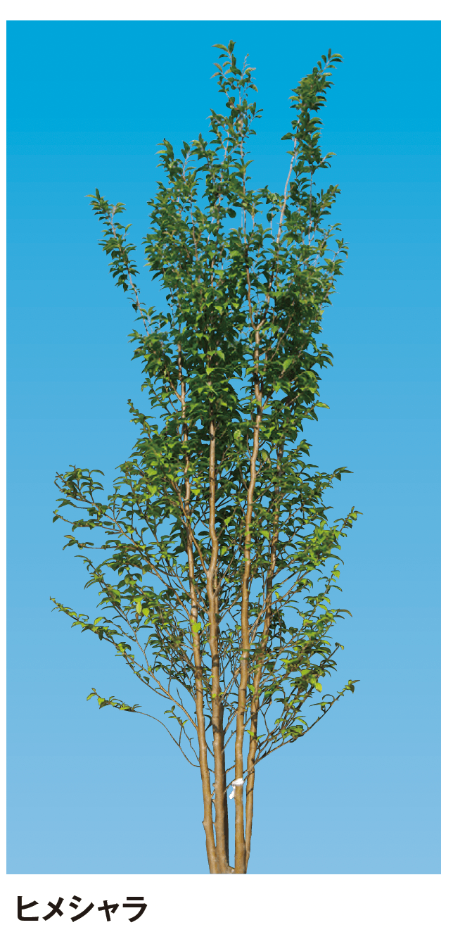 メイクランドの「シンボルツリー」のサブ画像14