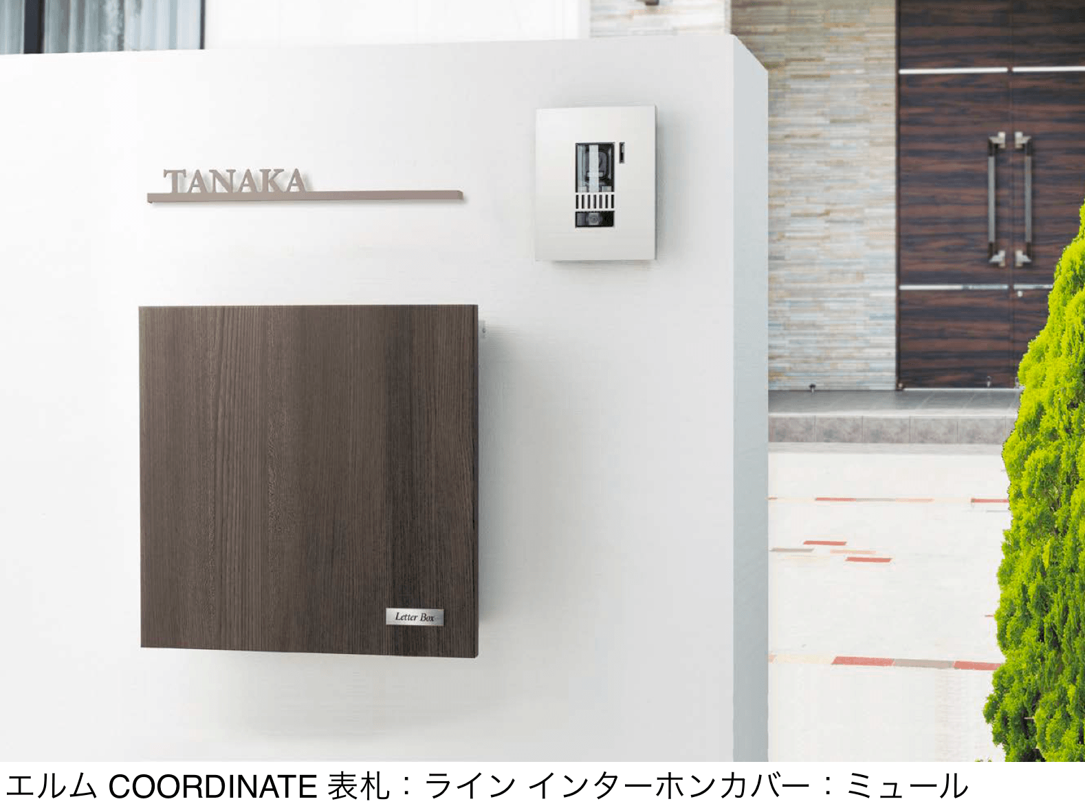 オンリーワンクラブの「クラッシー スクエア」