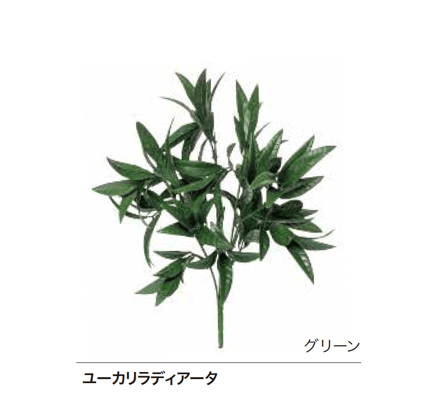 ゆとりの「Greem」のサブ画像3