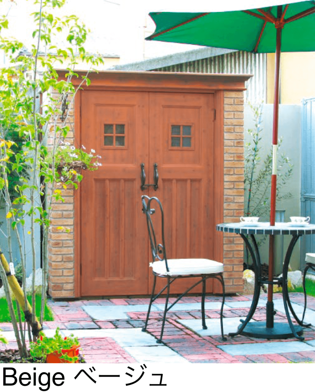 ディーズガーデンの「カンナ」