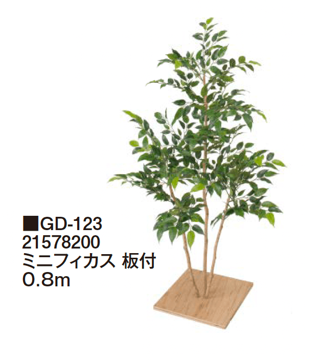 タカショーの「観葉植物【2024年版】」のサブ画像28