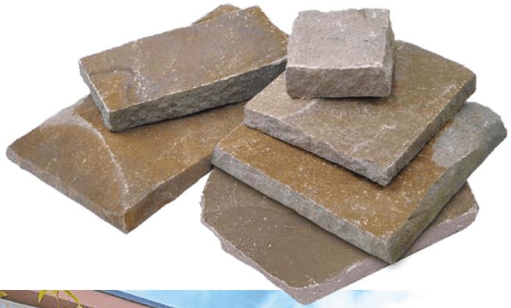 オンリーワンクラブの「フォレスタ ブルーノ【2023年版】」のサブ画像1