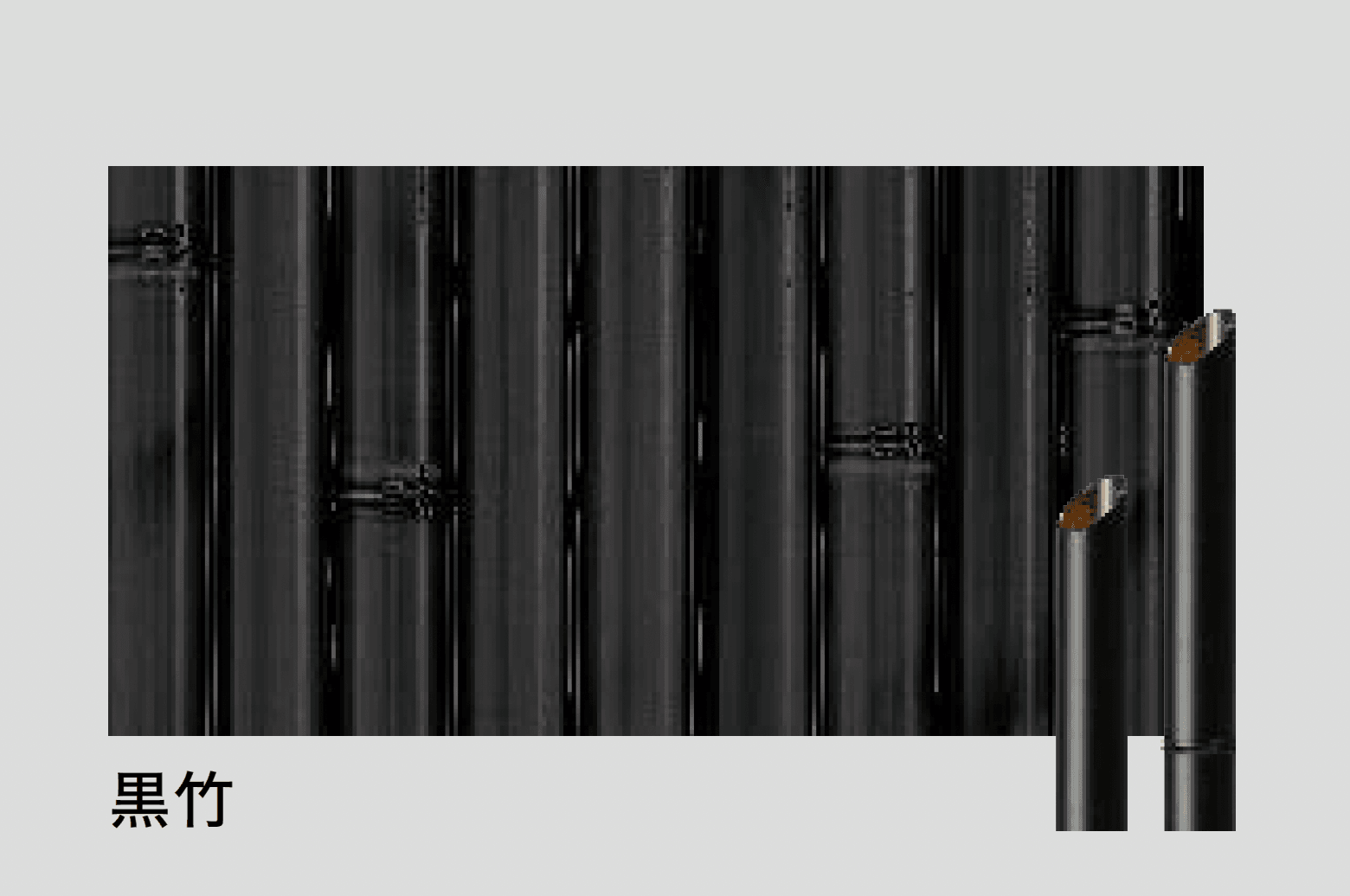 タカショーの「バンブースポットライト」のサブ画像4