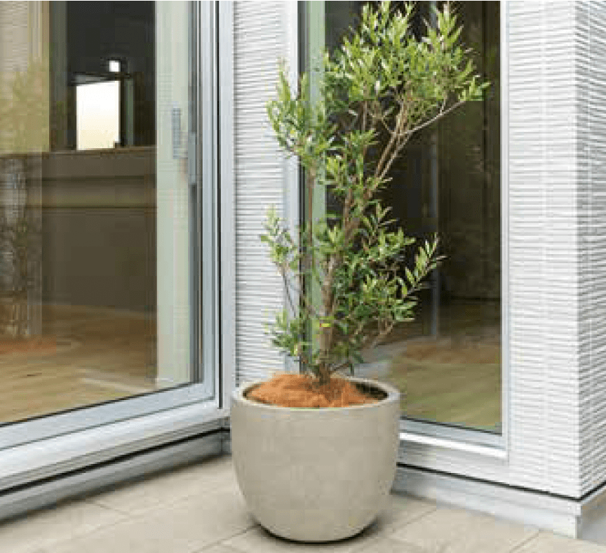 ゆとりの「モードライト」