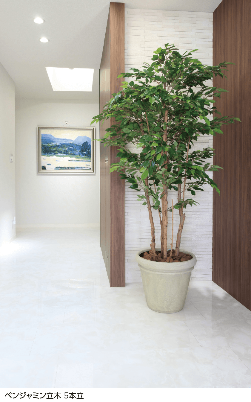 タカショーの「観葉植物【2024年版】」