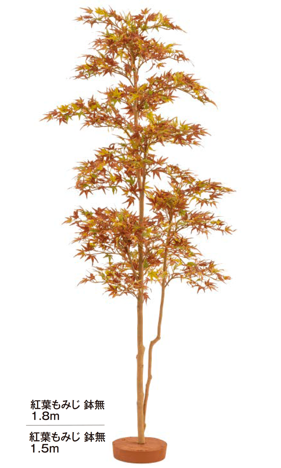 タカショーの「和風もみじ【2024年版】」のサブ画像4