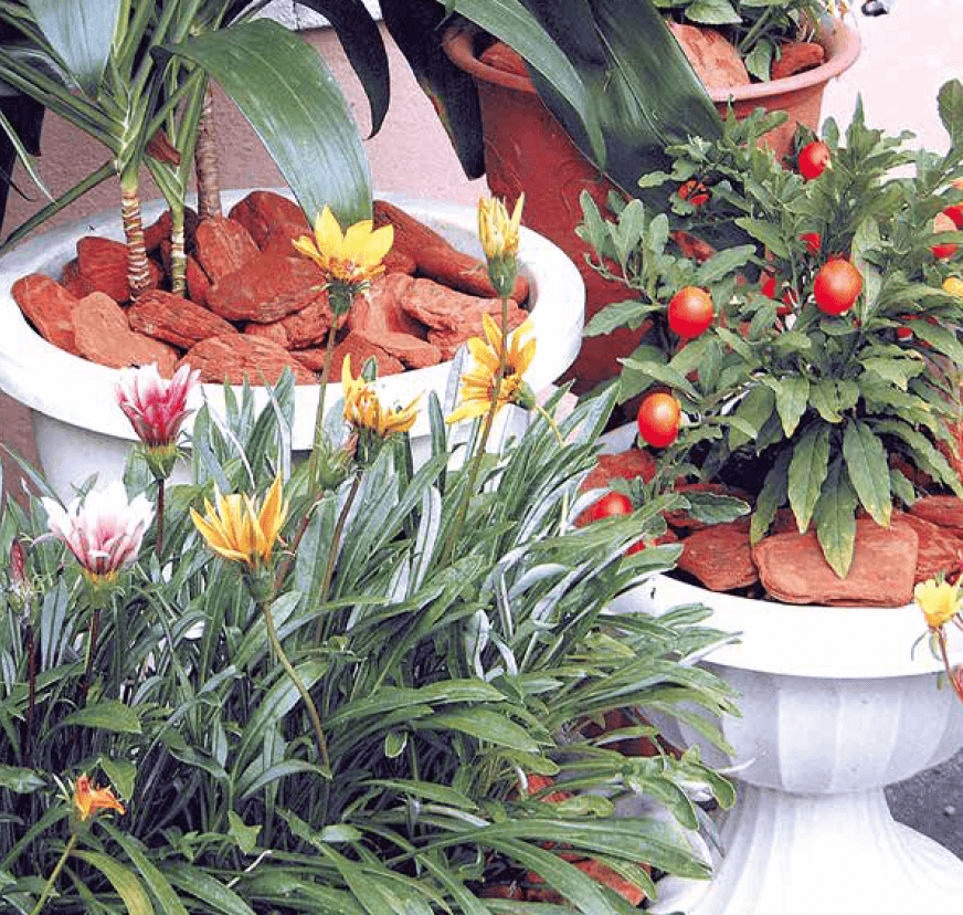 ゆとりの「人工植物/ウッドチップ 【2022年版】」のサブ画像1