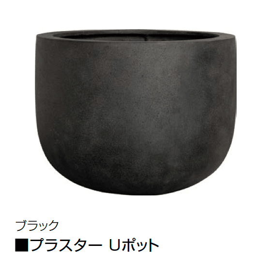 オンリーワンクラブの「プラスター」のサブ画像3