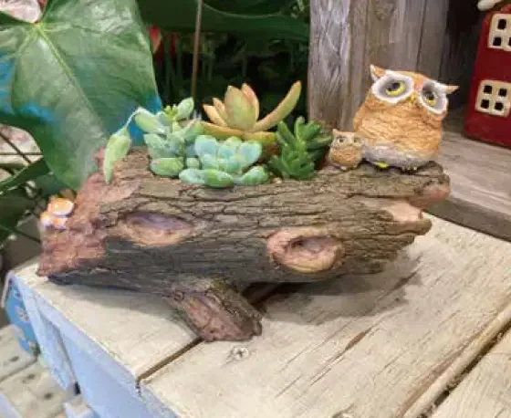 ゆとりの「フラワーポット【2023年版】」