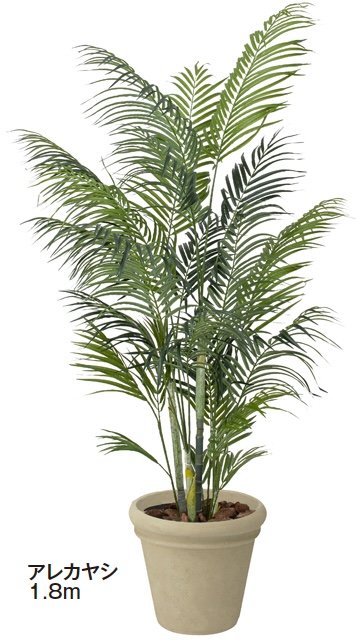 タカショーの「大型人工樹【2024年版】」のサブ画像10