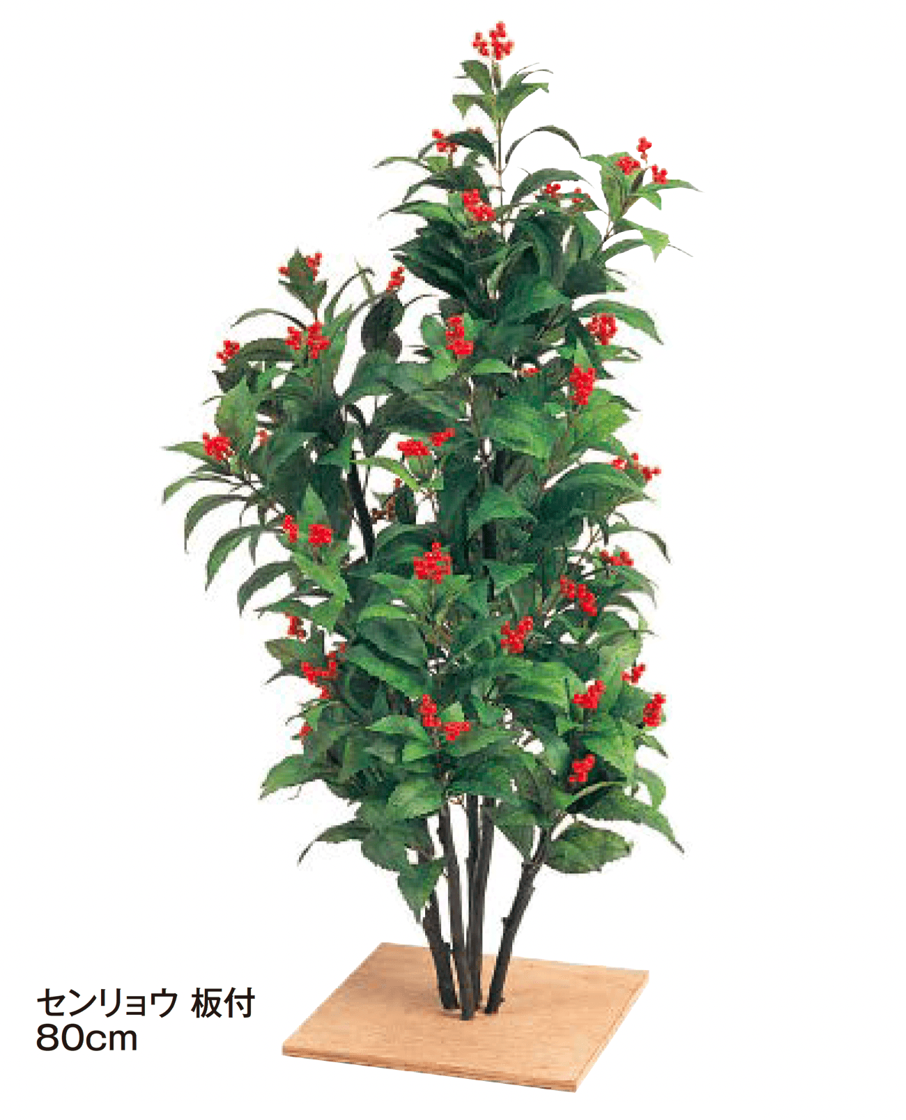 タカショーの「板付【2024年版】」のサブ画像4