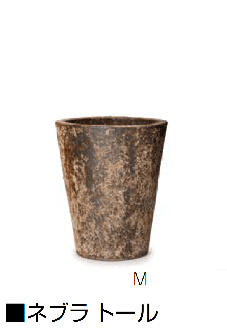 オンリーワンクラブの「ネブラ」のサブ画像2