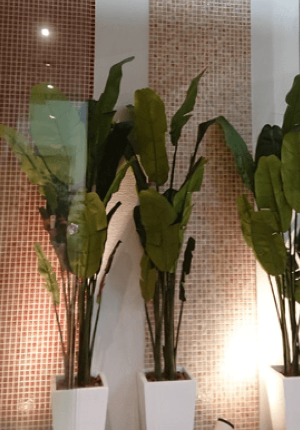 ゆとりの「スージー 【2022年版】」のサブ画像1