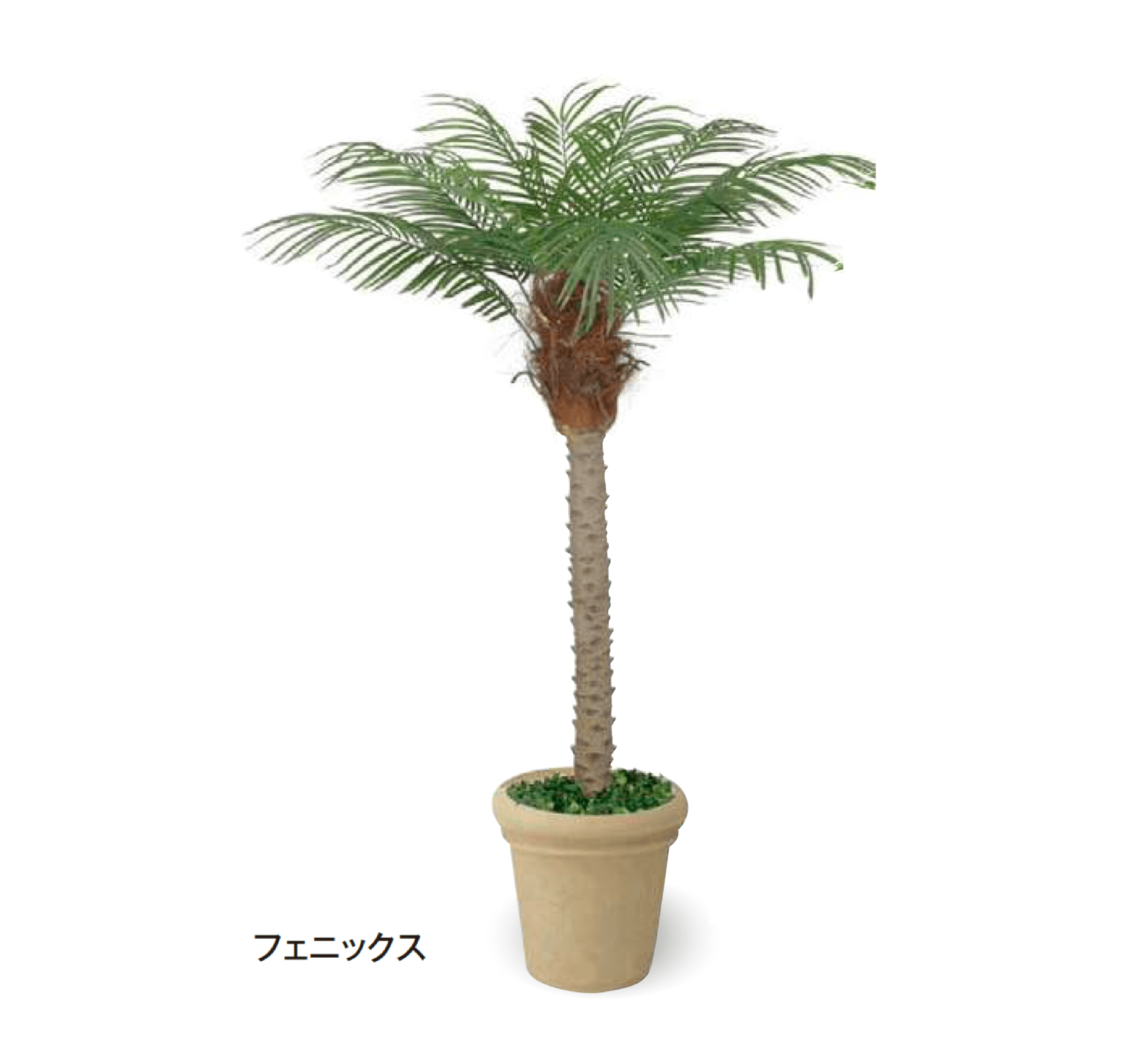 タカショーの「大型人工樹」のサブ画像4