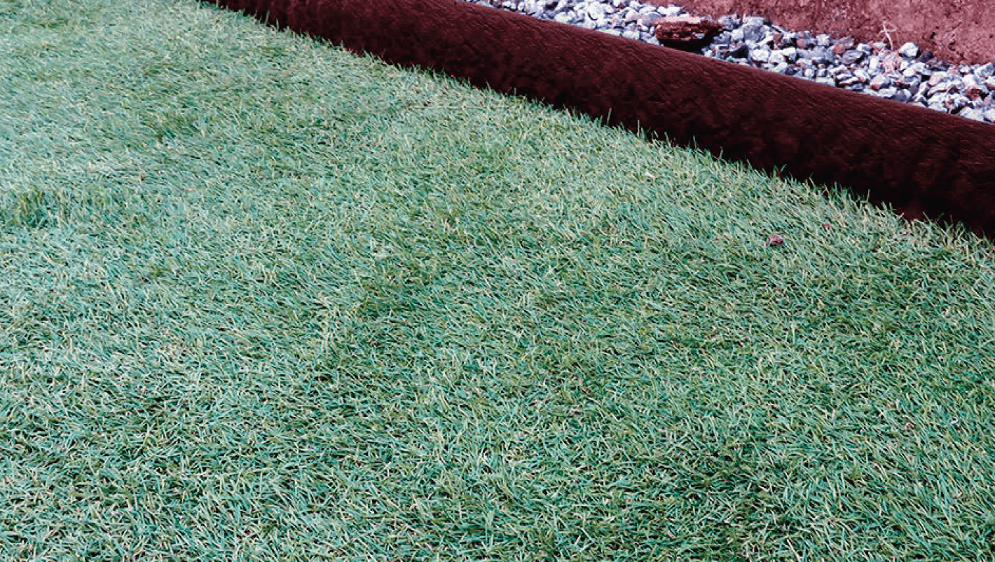 EXDECOの「BB ターフ エッジ」