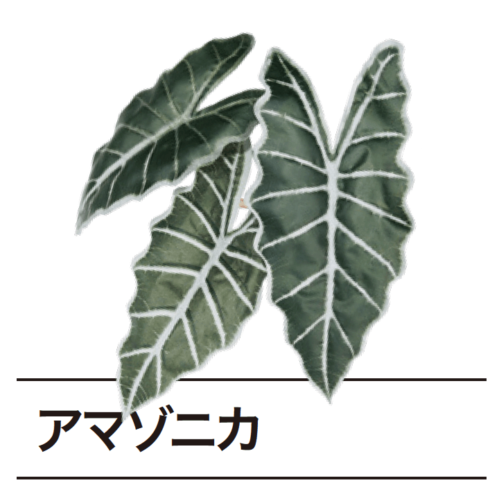 ゆとりの「ぴたっとグリーン【2024年版】」のサブ画像10