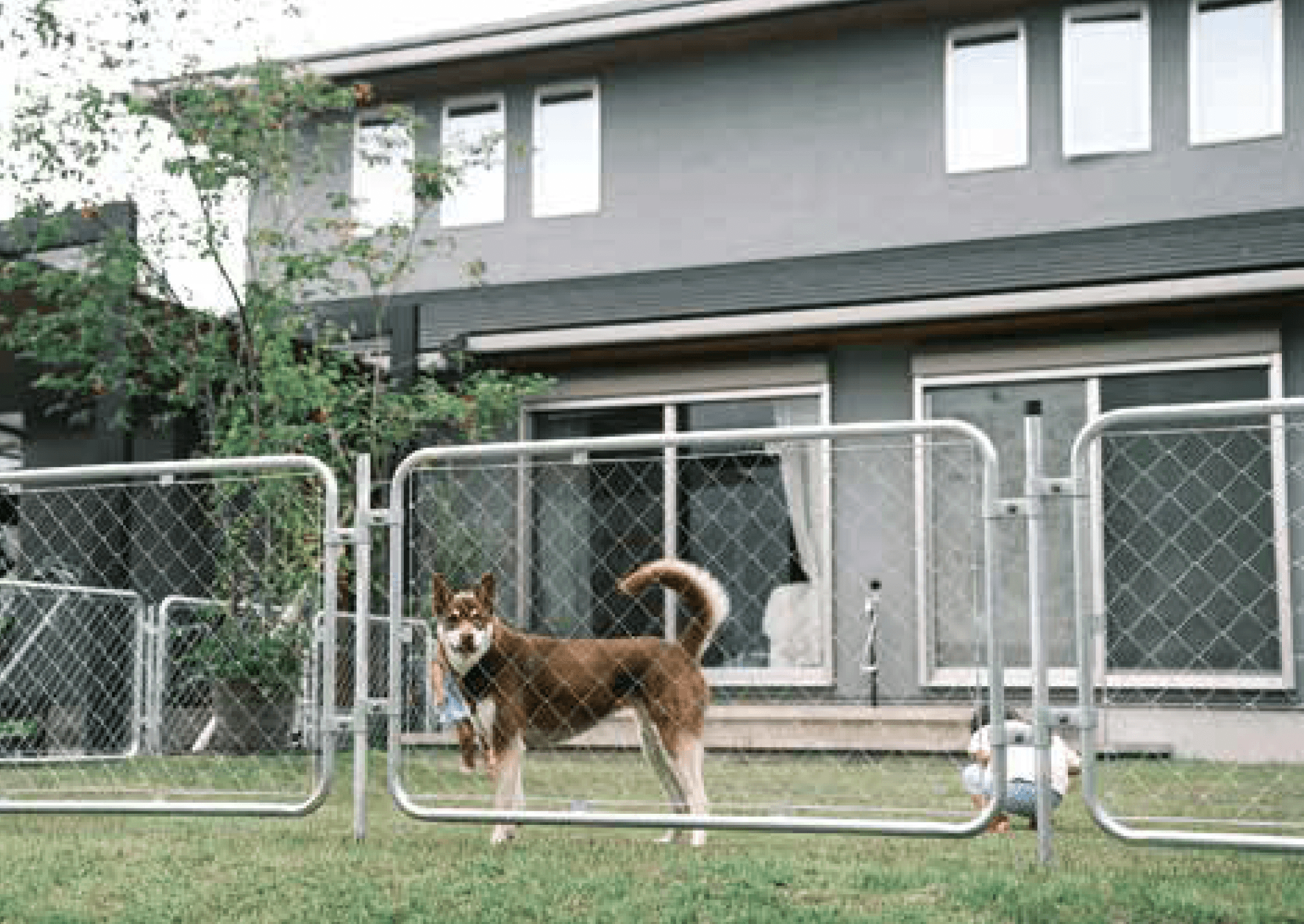 Bullsの「アメリカンフェンス」