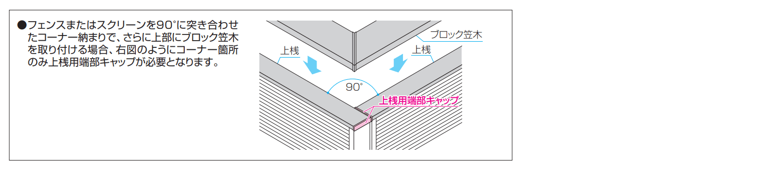 フィオーレ【2022年版】_価格_21