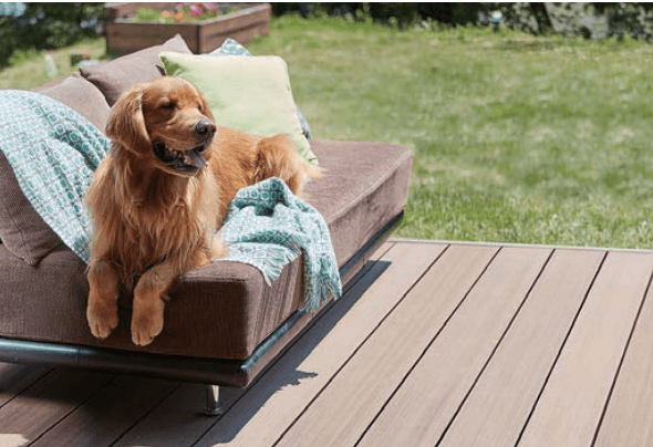 LIXILの「樹ら楽ステージ 木彫【2023年版】」のサブ画像7