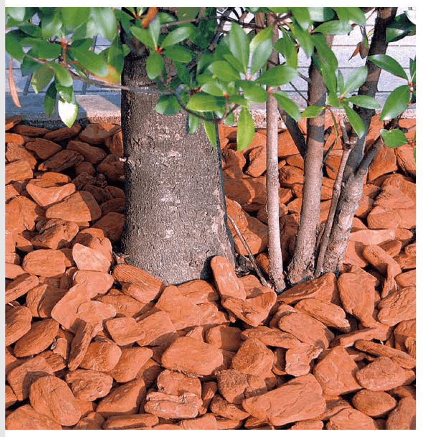 ゆとりの「ウッドチップ【2023年版】」