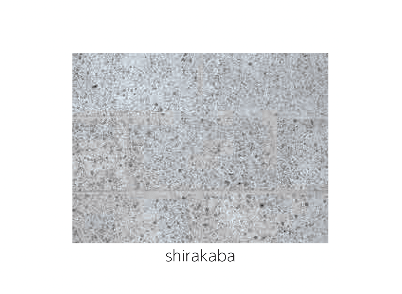 エスビックの「地彩(ちさい)」のサブ画像3