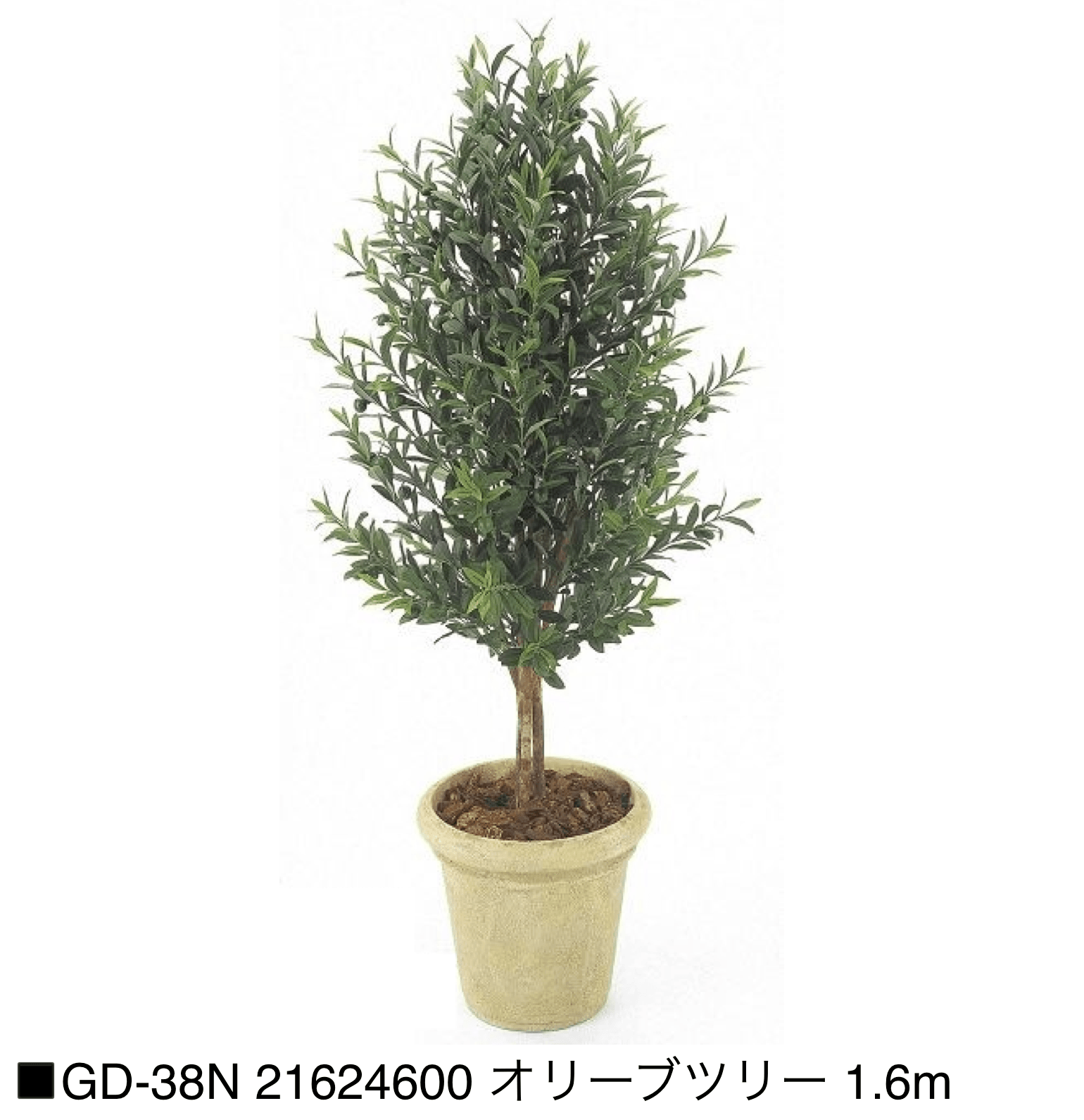 タカショーの「観葉植物【2025年版】」のサブ画像10