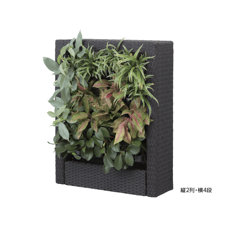 タカショーの「アートキャンバス®︎インドアユニット ラタンフレーム」