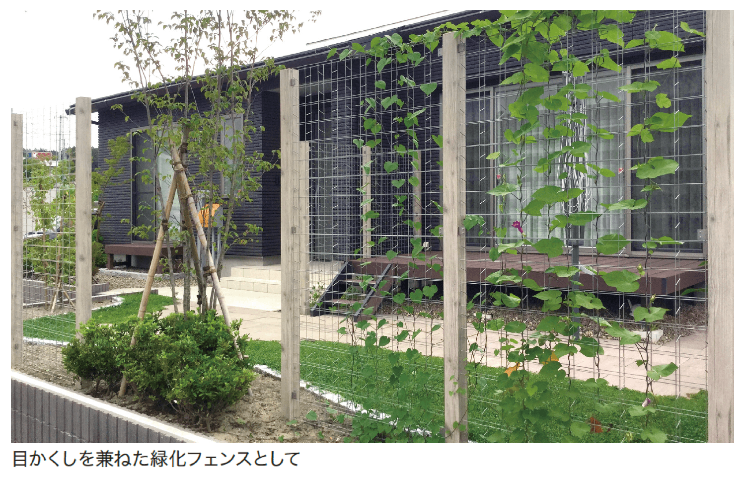 ゆとりの「トレメッシュ フェンス【2024年版】」