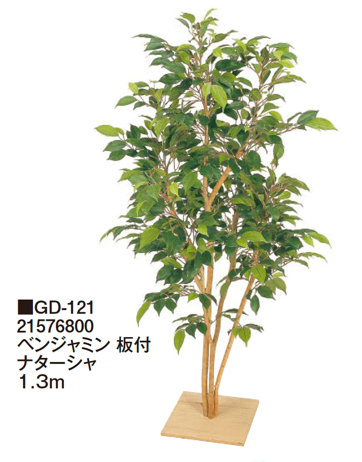 タカショーの「観葉植物【2024年版】」のサブ画像24