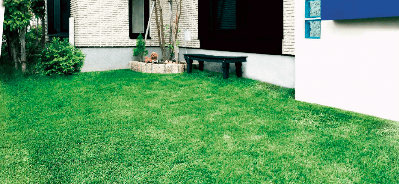 アイランドの「クローバーターフ THE TURF」