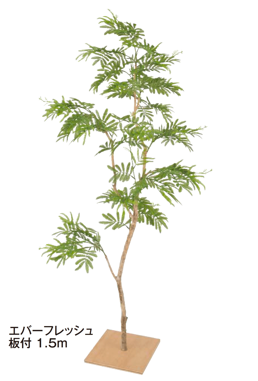 タカショーの「板付【2025年版】」のサブ画像7